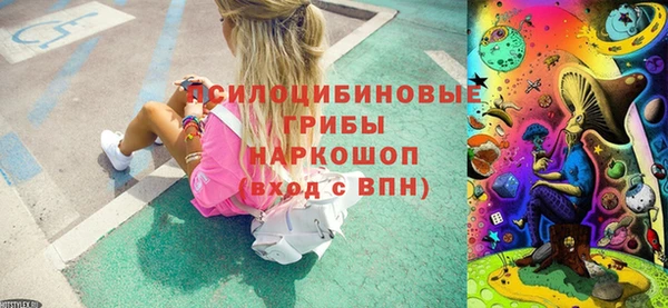 PSILOCYBIN Лиски