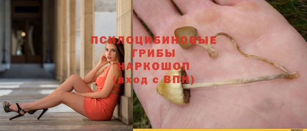 PSILOCYBIN Лиски