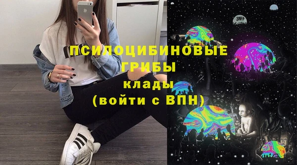 PSILOCYBIN Лиски