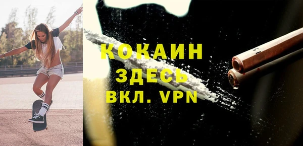 индика Артём