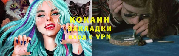PSILOCYBIN Лиски