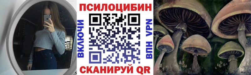 ОМГ ОМГ как войти  купить наркотик  Томмот  сайты даркнета официальный сайт  Галлюциногенные грибы Psilocybine cubensis 