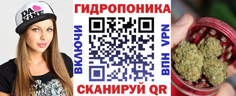 Марихуана план  купить   Томмот 